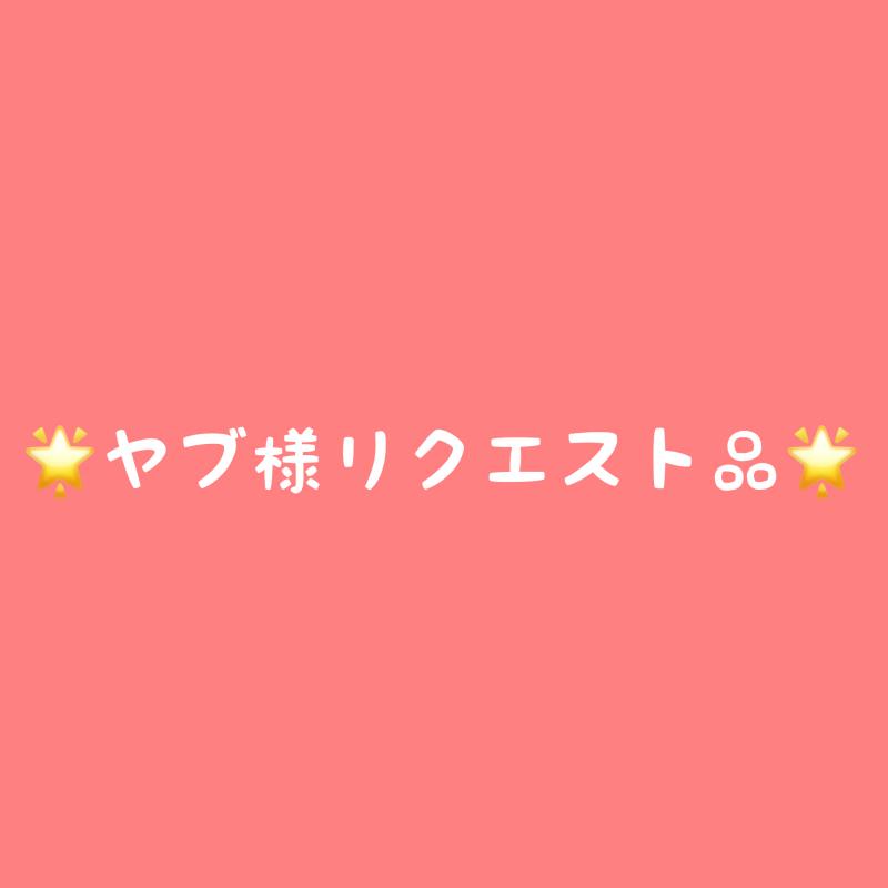 ★ヤブ様リクエスト品(金額修正済み)★