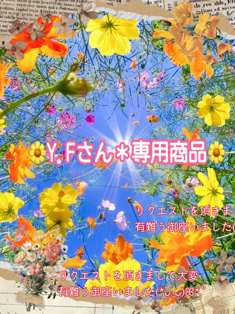 〜Y.Fさん*専用商品〜