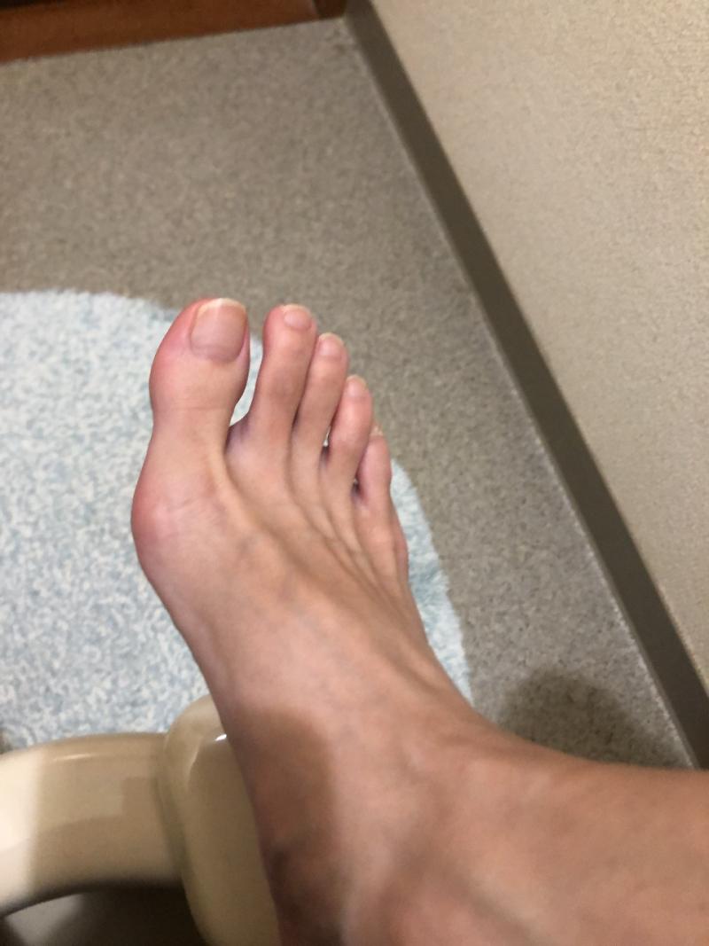 出品者名-写真-1