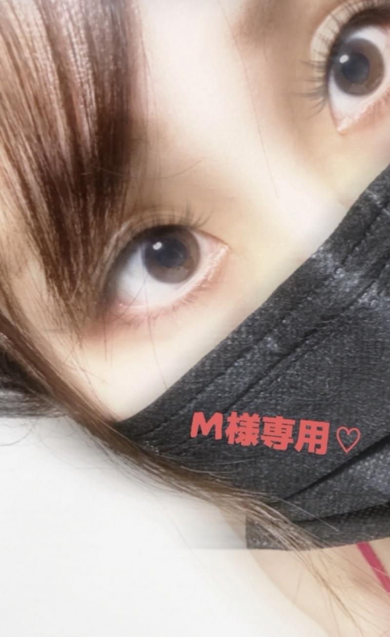 出品者名-写真