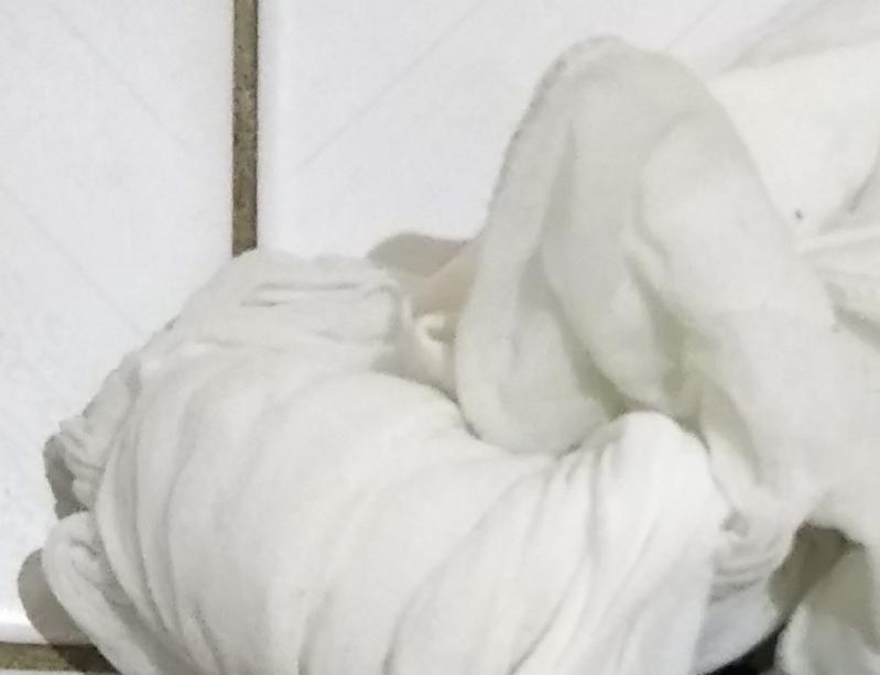 出品者名-写真-1