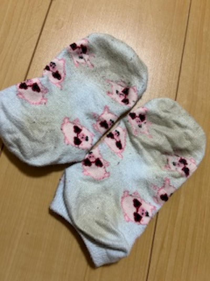 【愛用歴6年】ぶたさんの靴下