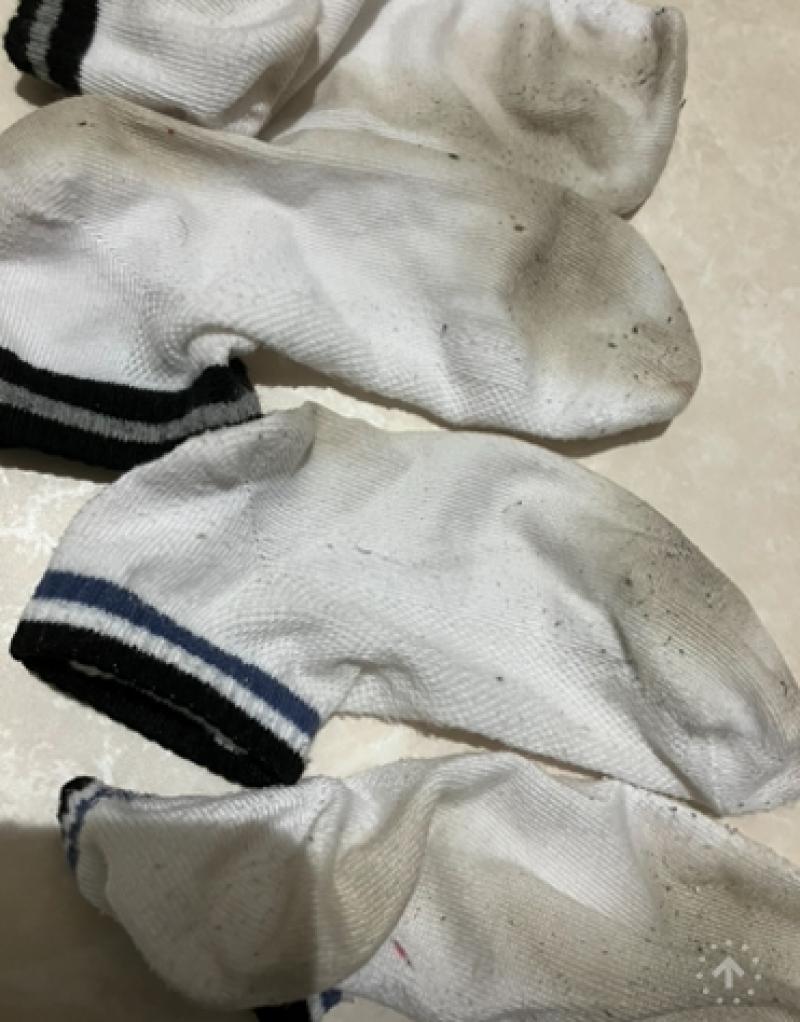 3日ばき靴下2足