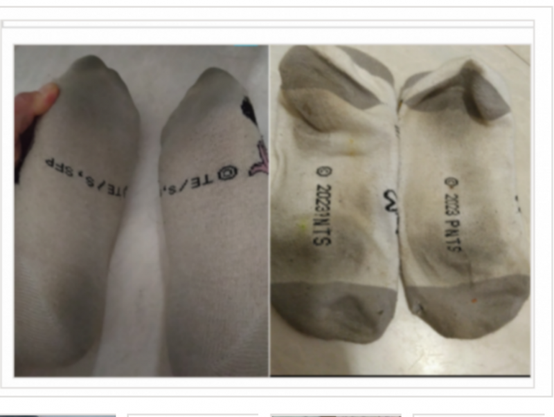 出品者名-写真-1