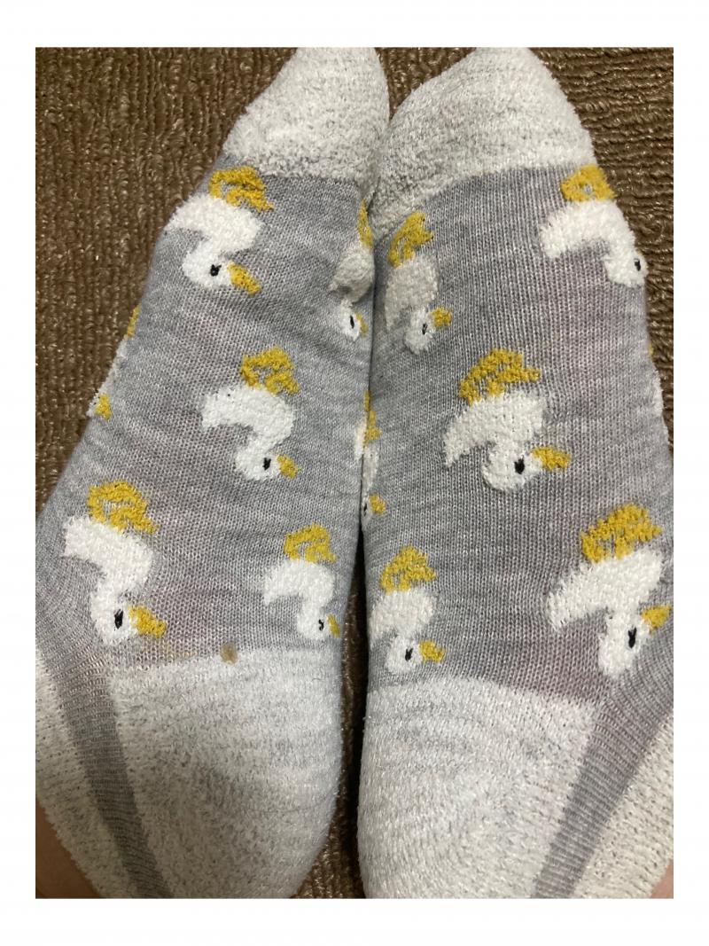 20歳大学生　一日着用靴下