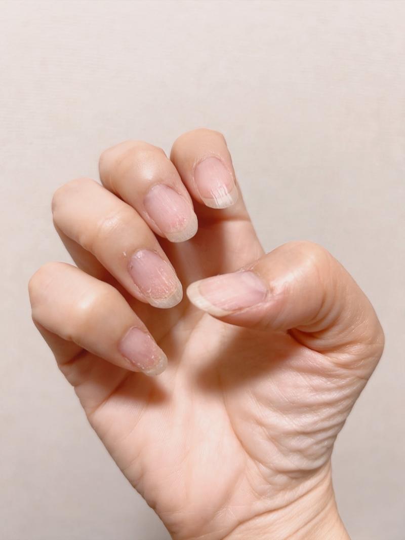 出品者名-写真-1