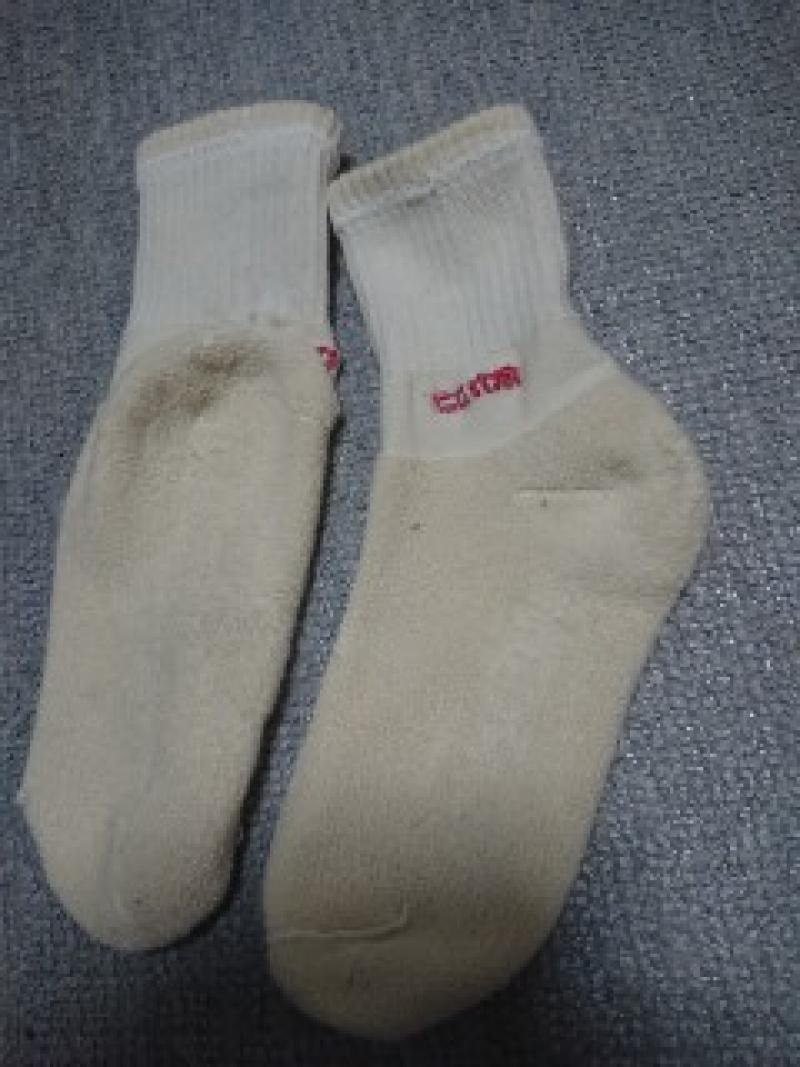出品者名-写真-1