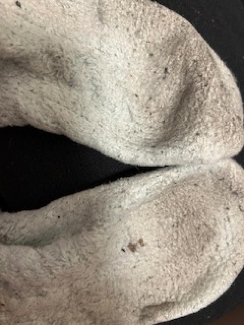過去トップ□レベル臭い、もこもこ靴下