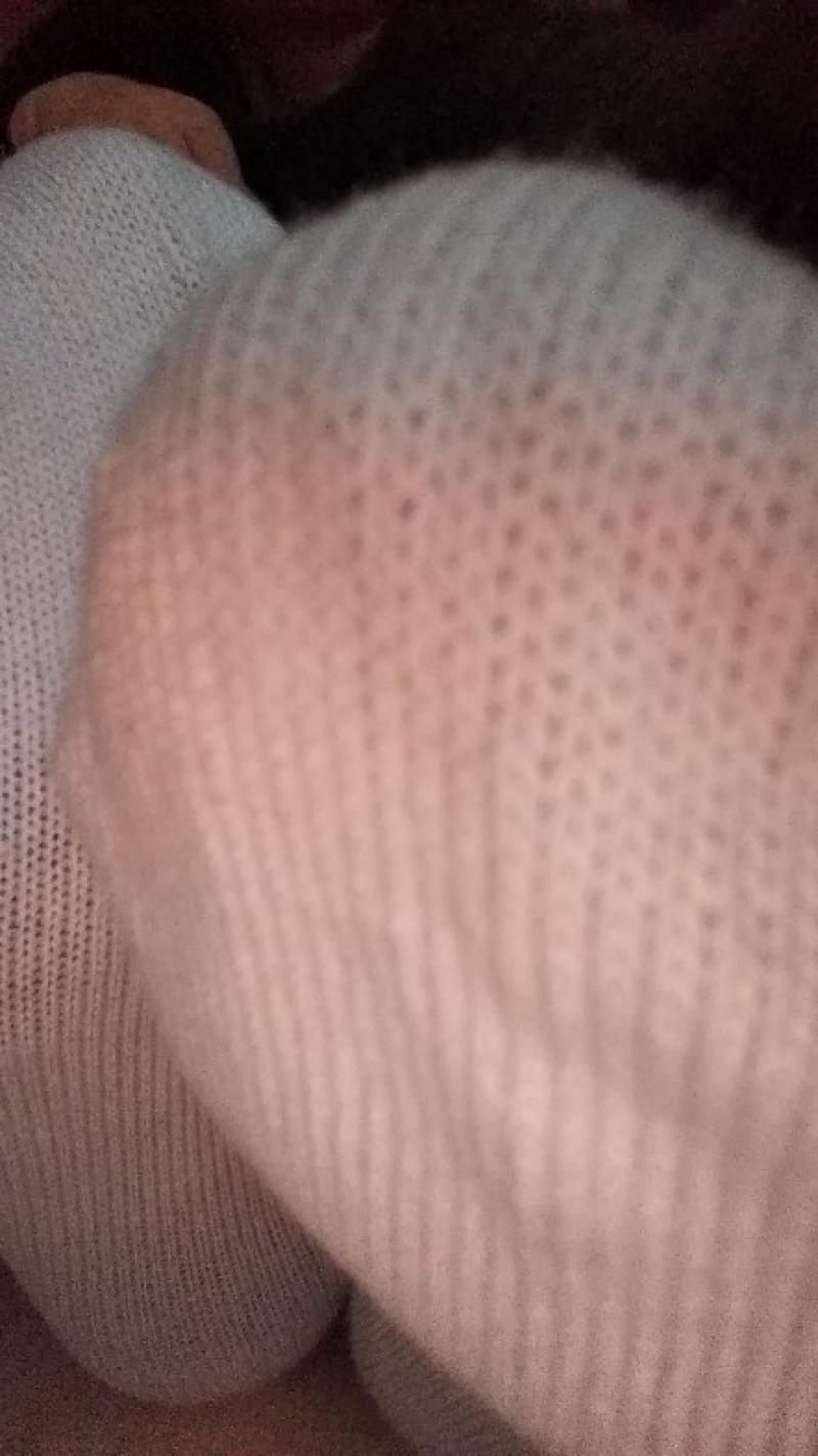 出品者名-写真-1