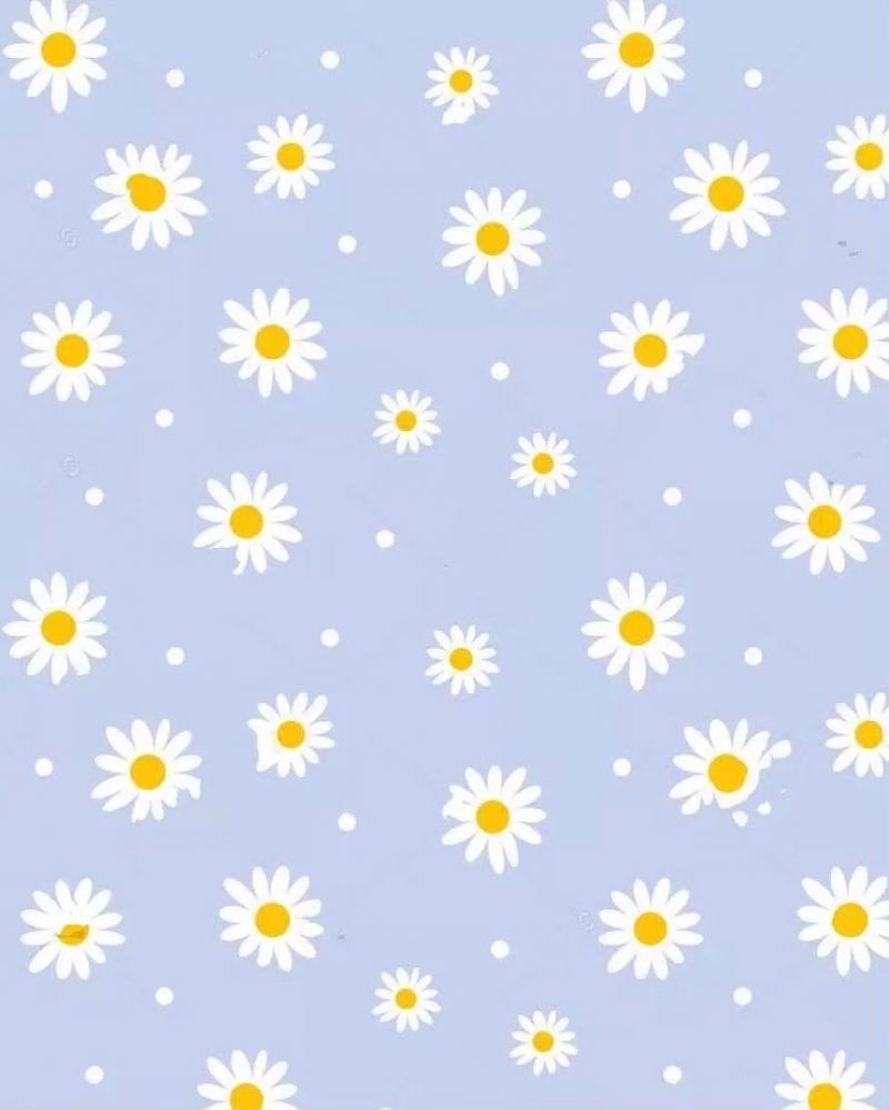 専用です♡