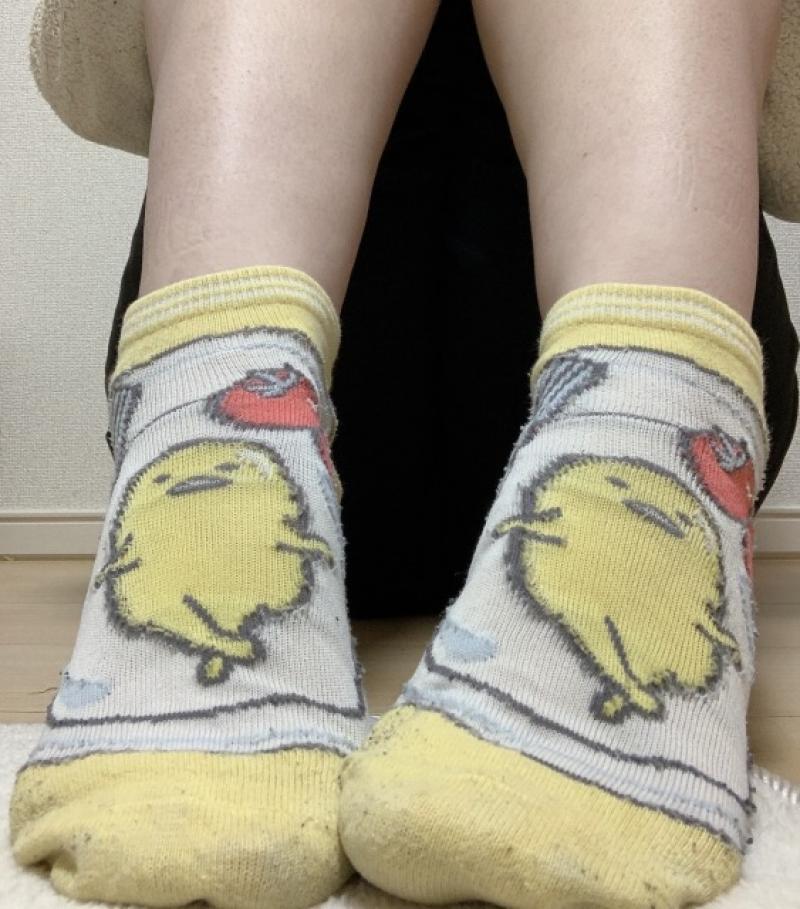 出品者名-写真-1