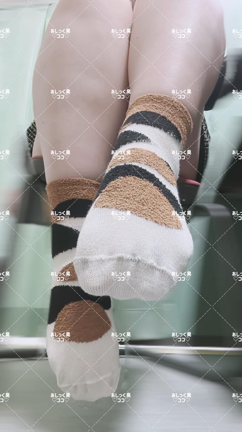 出品者名-写真