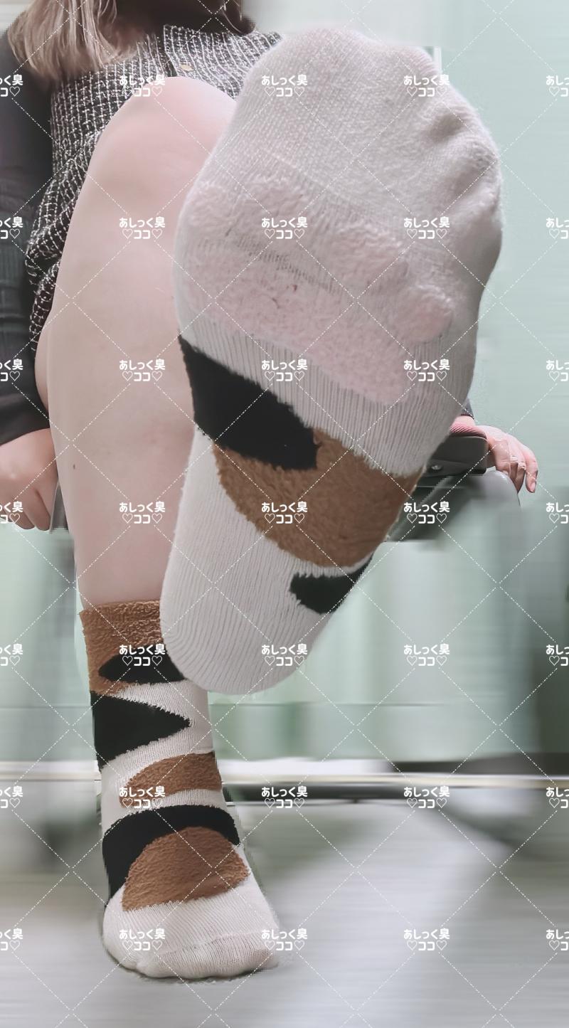 出品者名-写真-1
