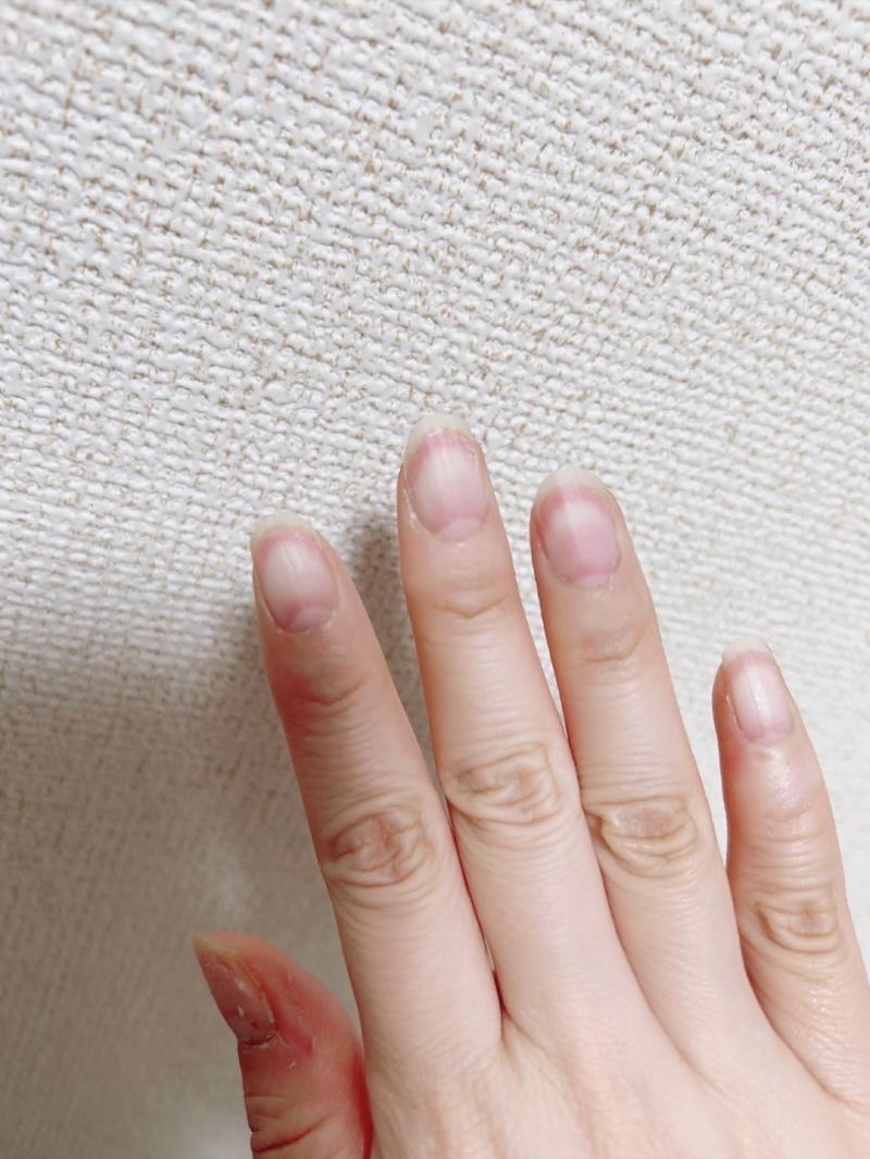 出品者名-写真-1