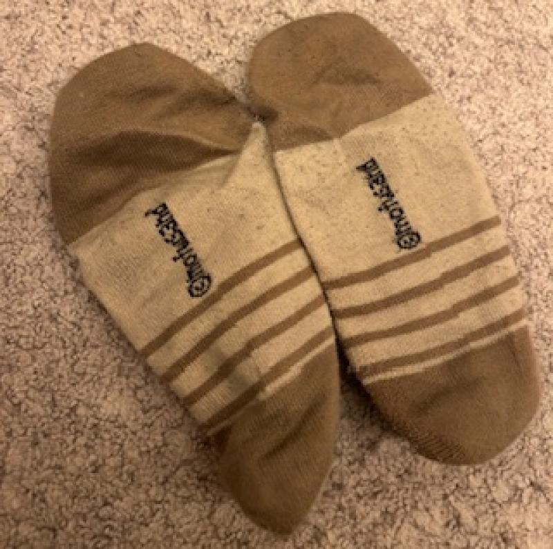 出品者名-写真-1