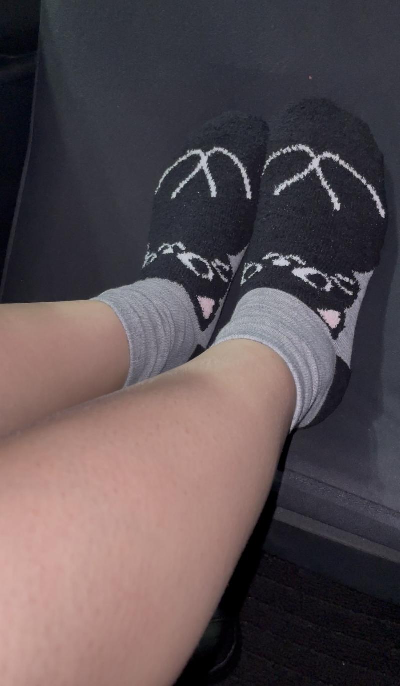 出品者名-写真-1