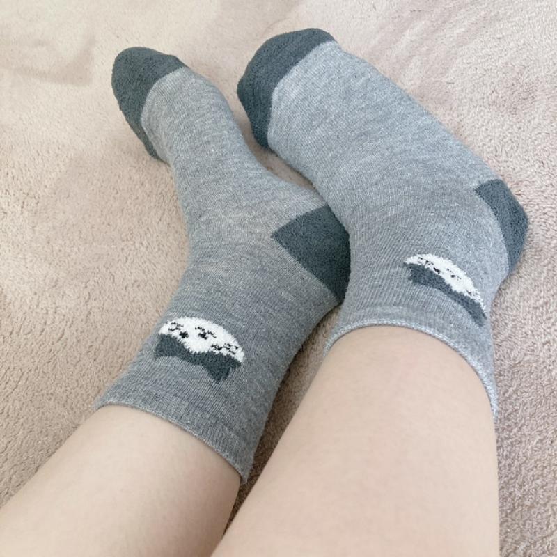 出品者名-写真-1