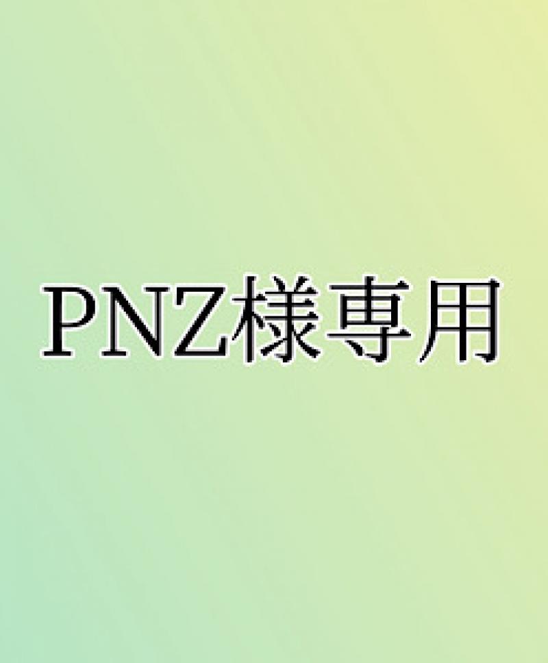 PNZ様専用（ᗜ •  ̫ • ᗜ）