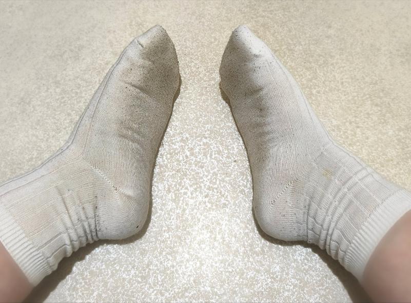 出品者名-写真-1