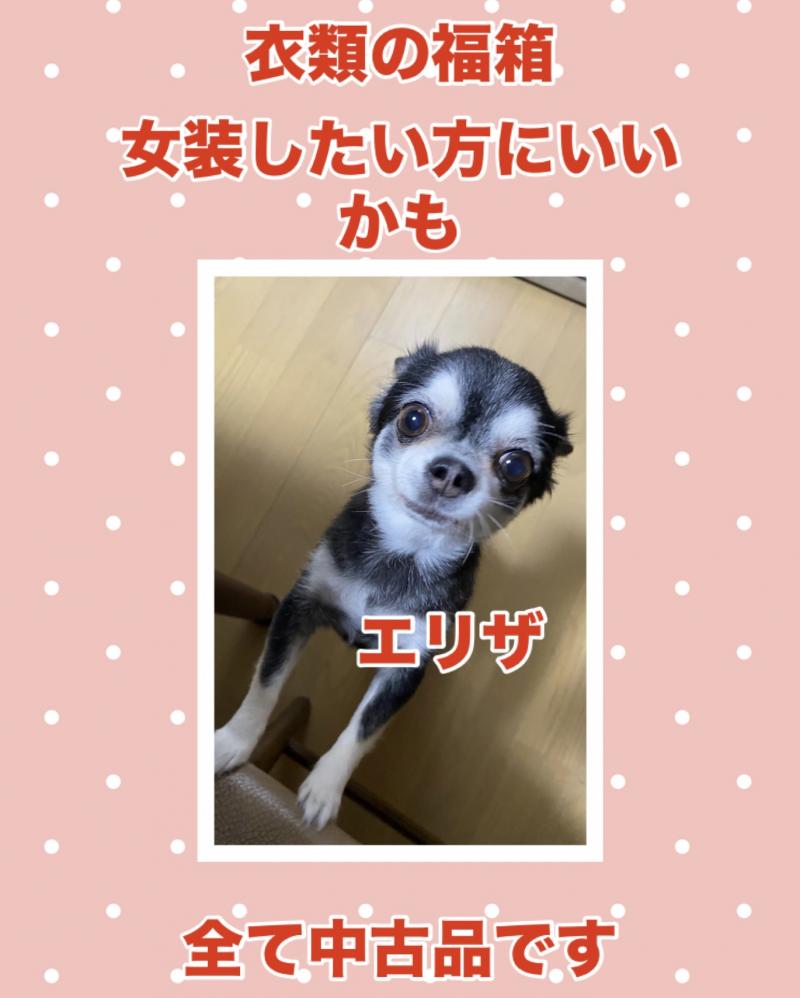 出品者名-写真-1