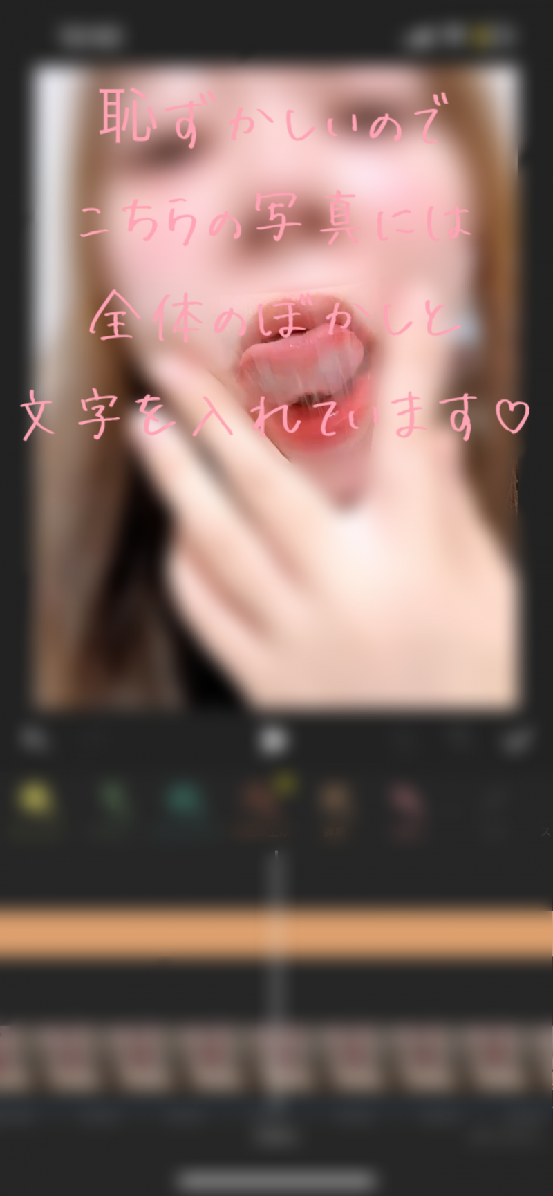 出品者名-写真