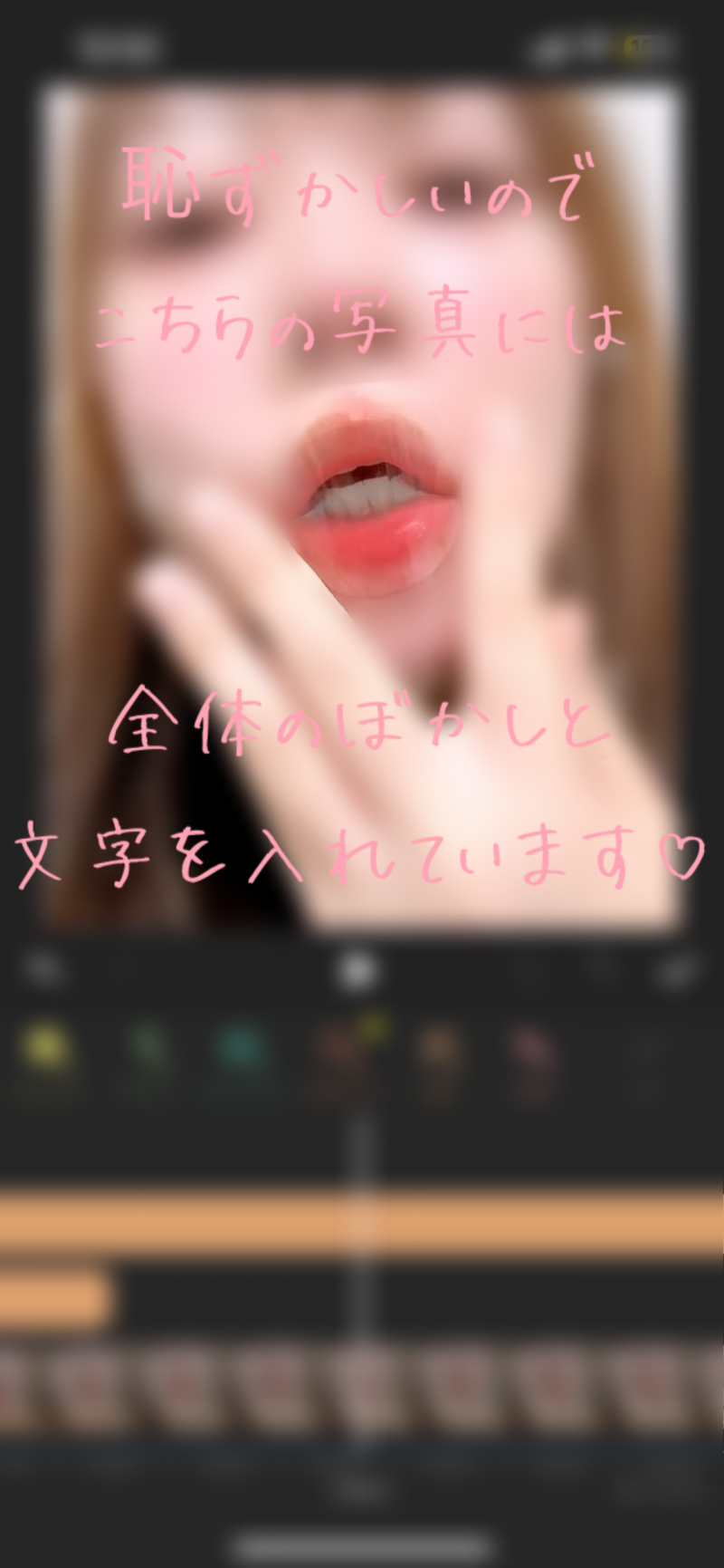 出品者名-写真-1