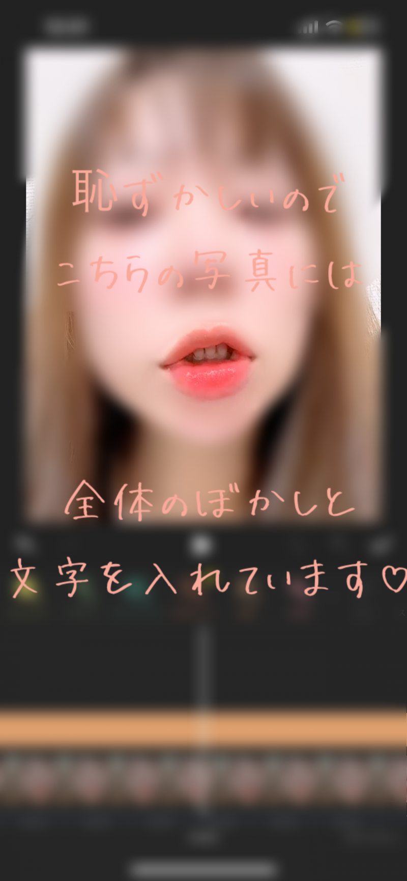 出品者名-写真-1