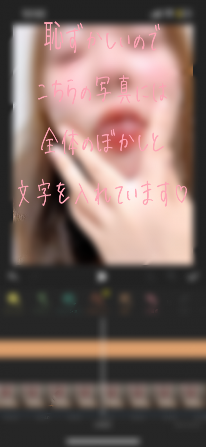 出品者名-写真-1
