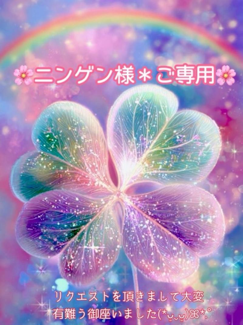 ☆.。.:*・°ニンゲン様＊ご専用☆.。.:*・°