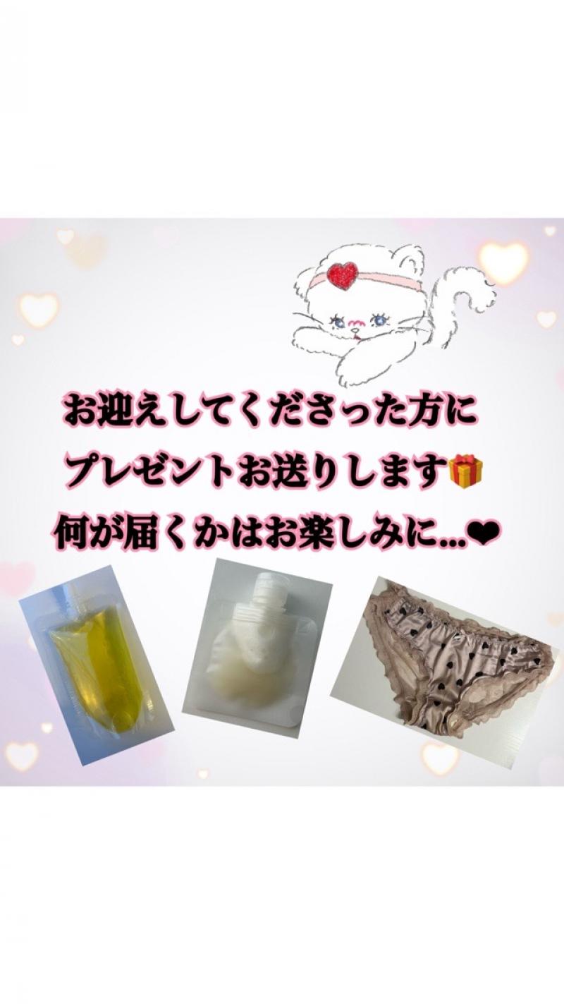 出品者名-写真-1