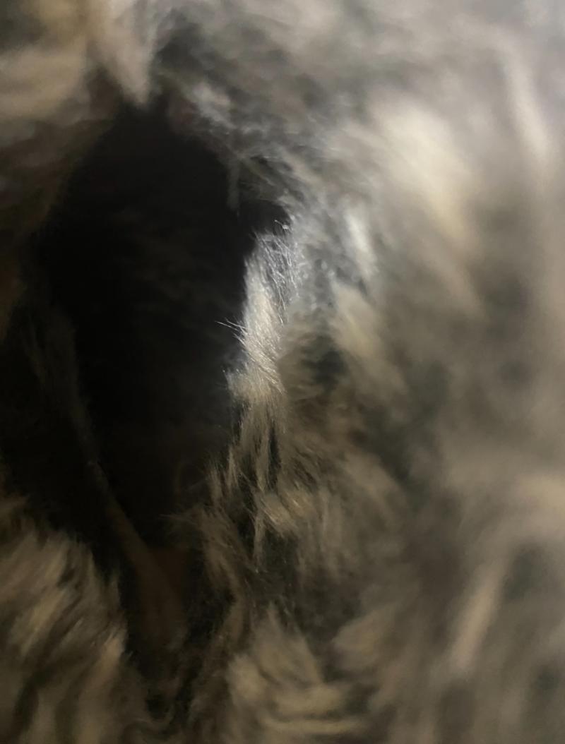 出品者名-写真-1