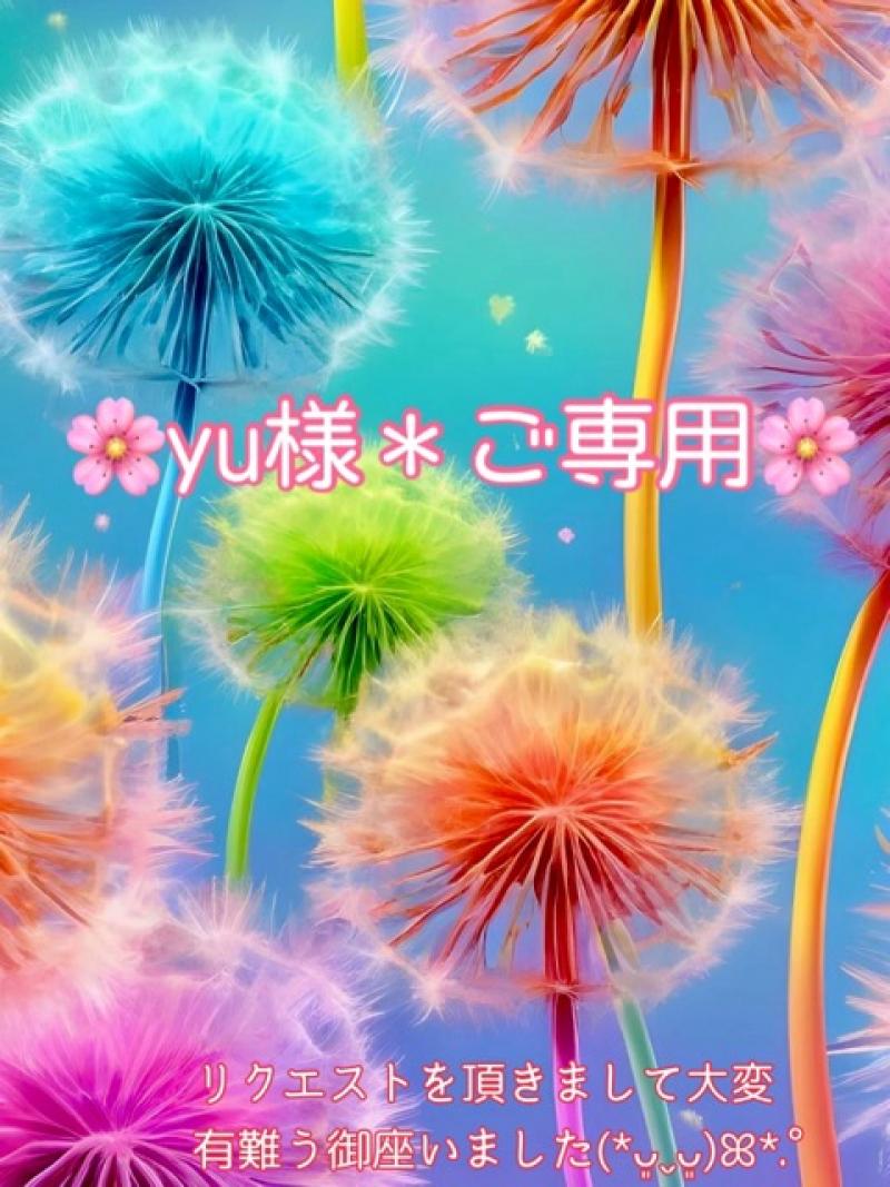 ✽ﾟ･:.｡〜yu様＊ご専用〜✽ﾟ･:.｡