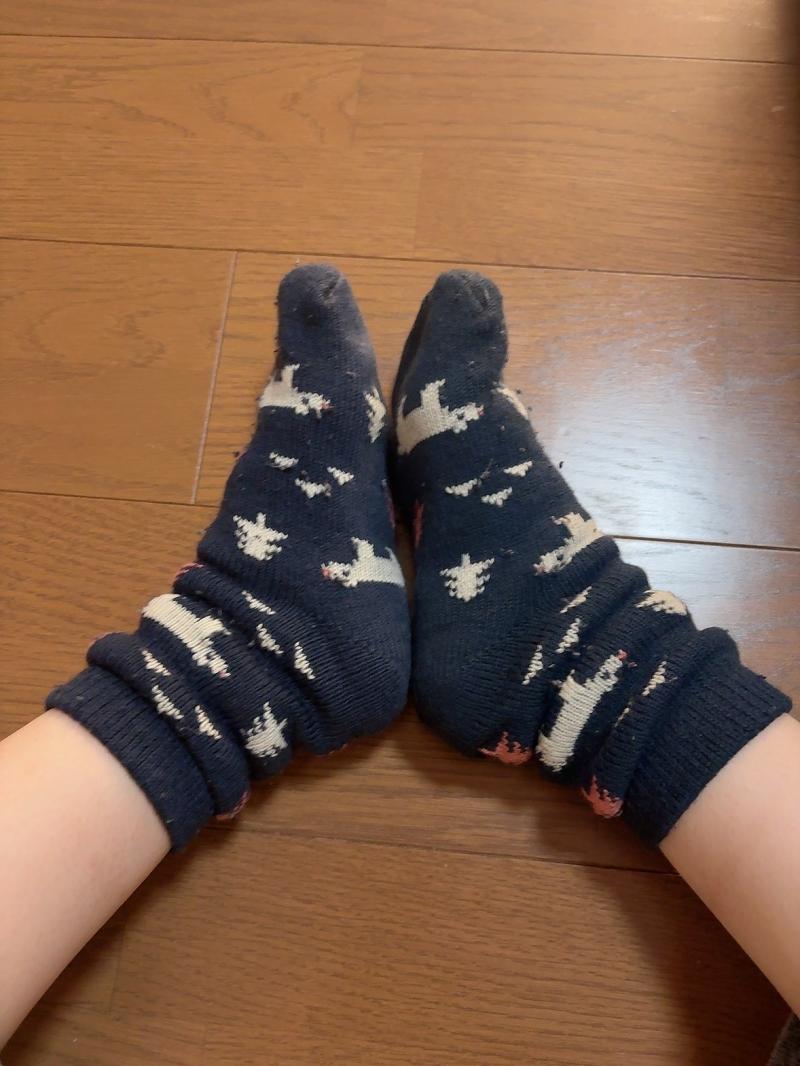出品者名-写真-1
