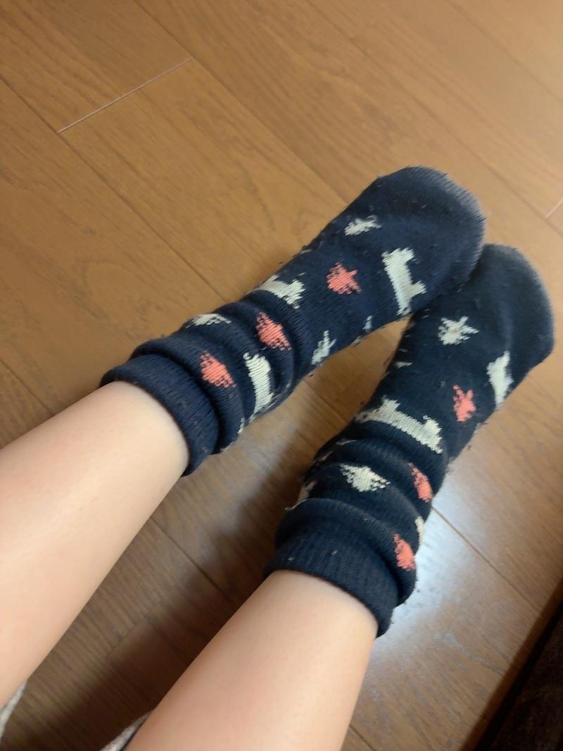 出品者名-写真-1