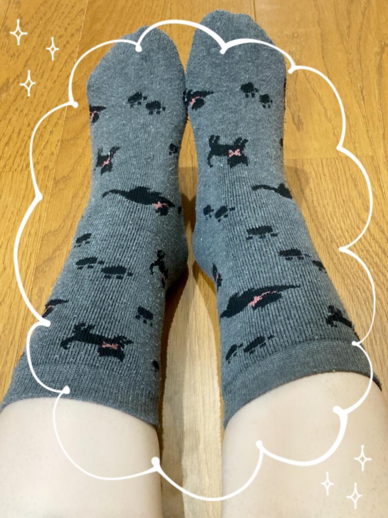 モコモコソックス猫さん