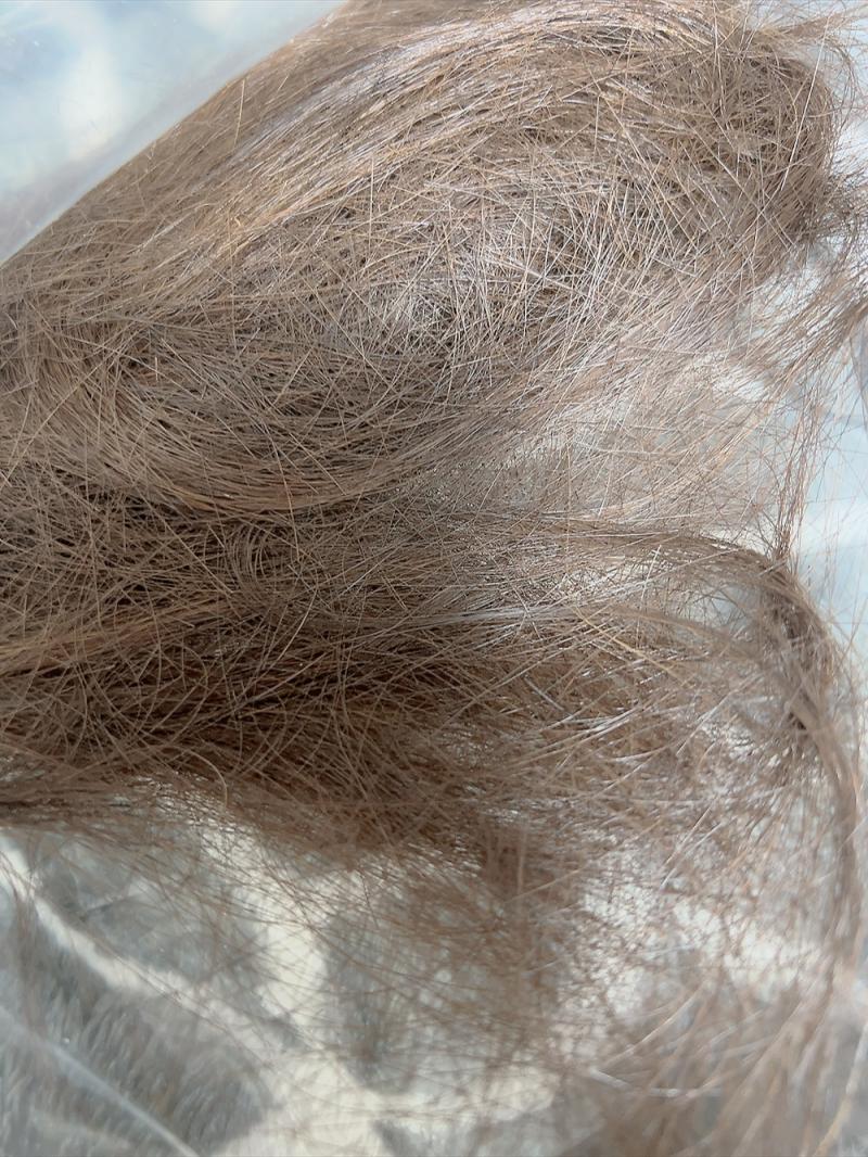 出品者名-写真-1