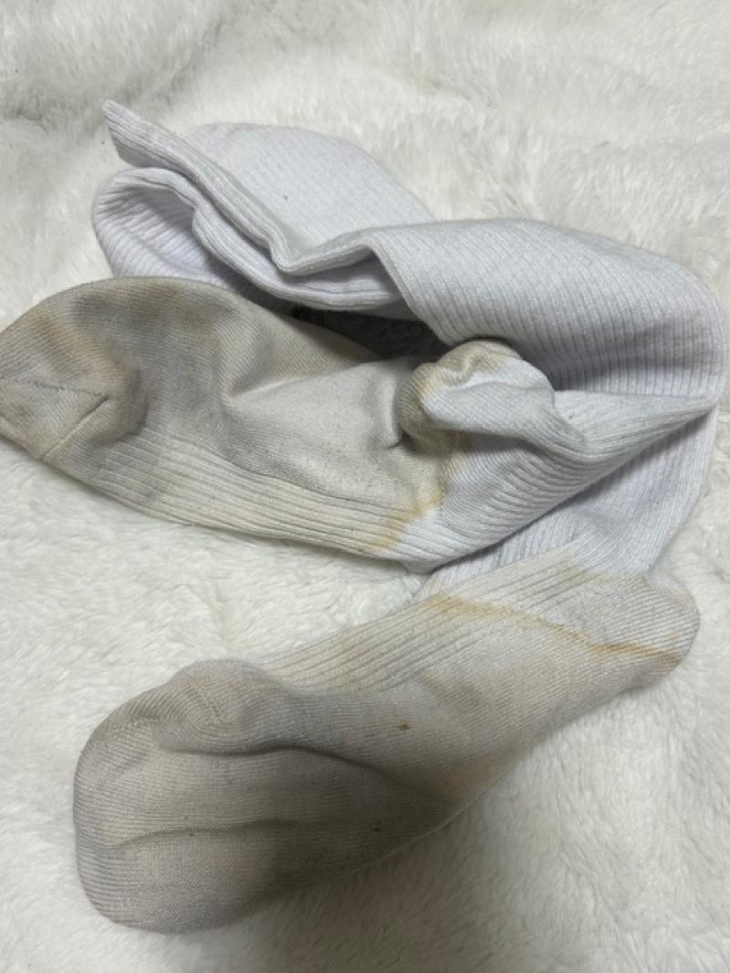 出品者名-写真-1