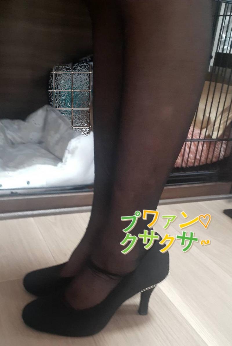 出品者名-写真-1