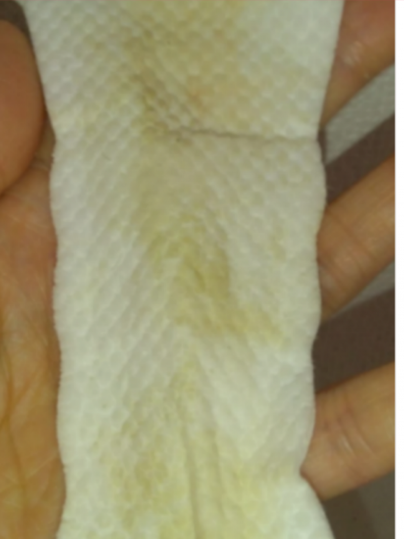 出品者名-写真-1