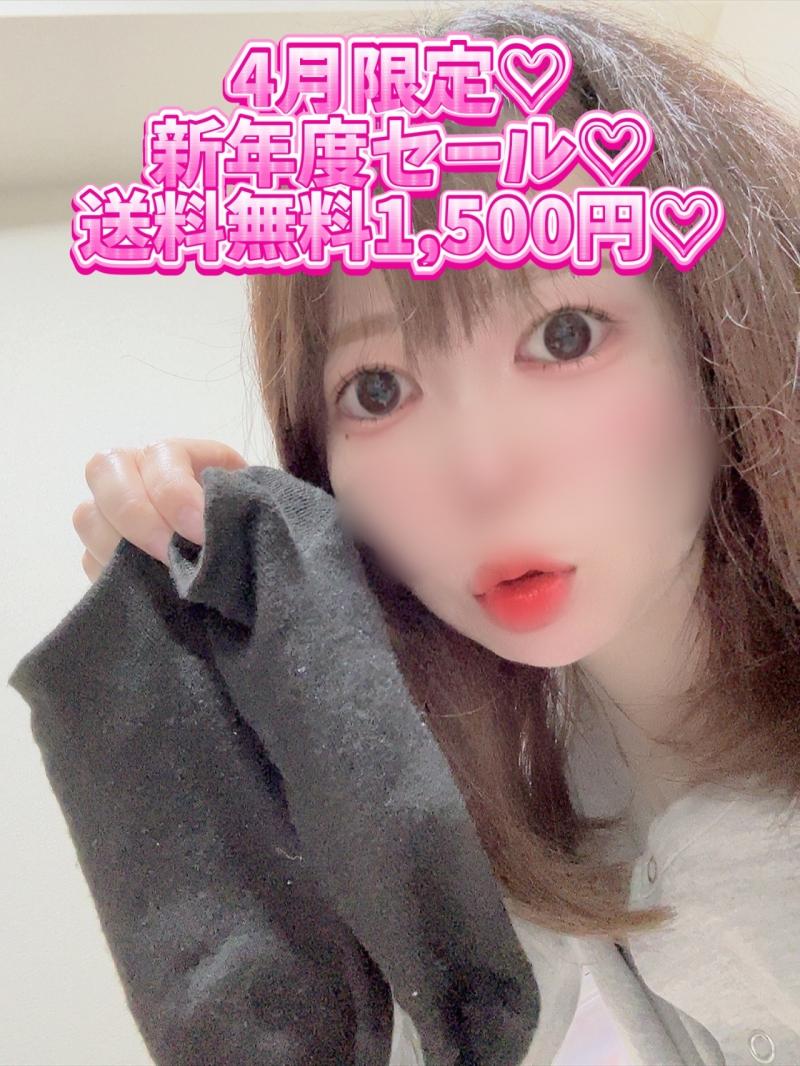 出品者名-写真