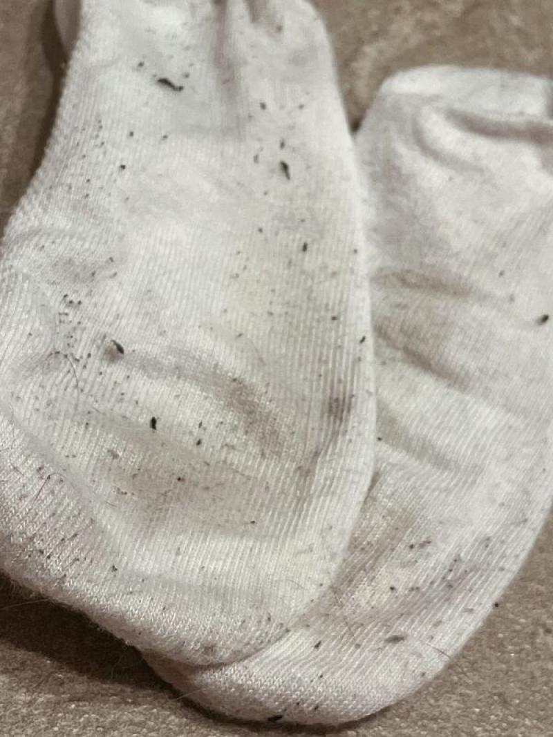 出品者名-写真-1