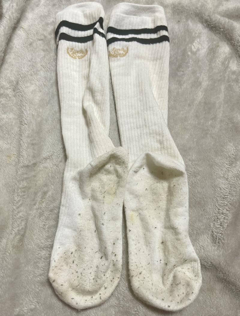 出品者名-写真-1