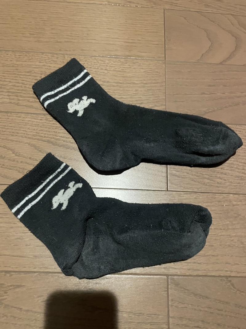 出品者名-写真-1