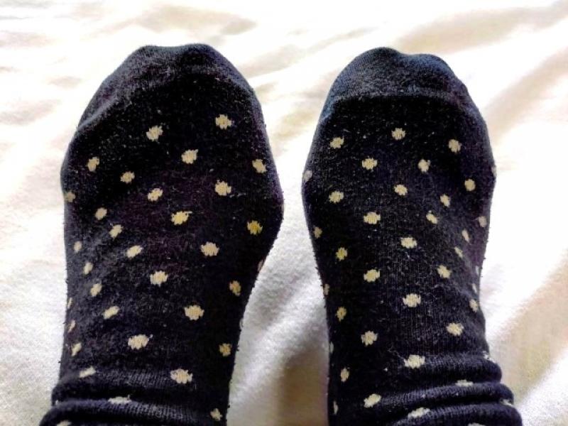 出品者名-写真-1