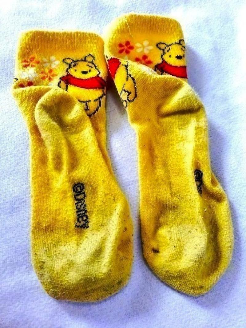 出品者名-写真-1