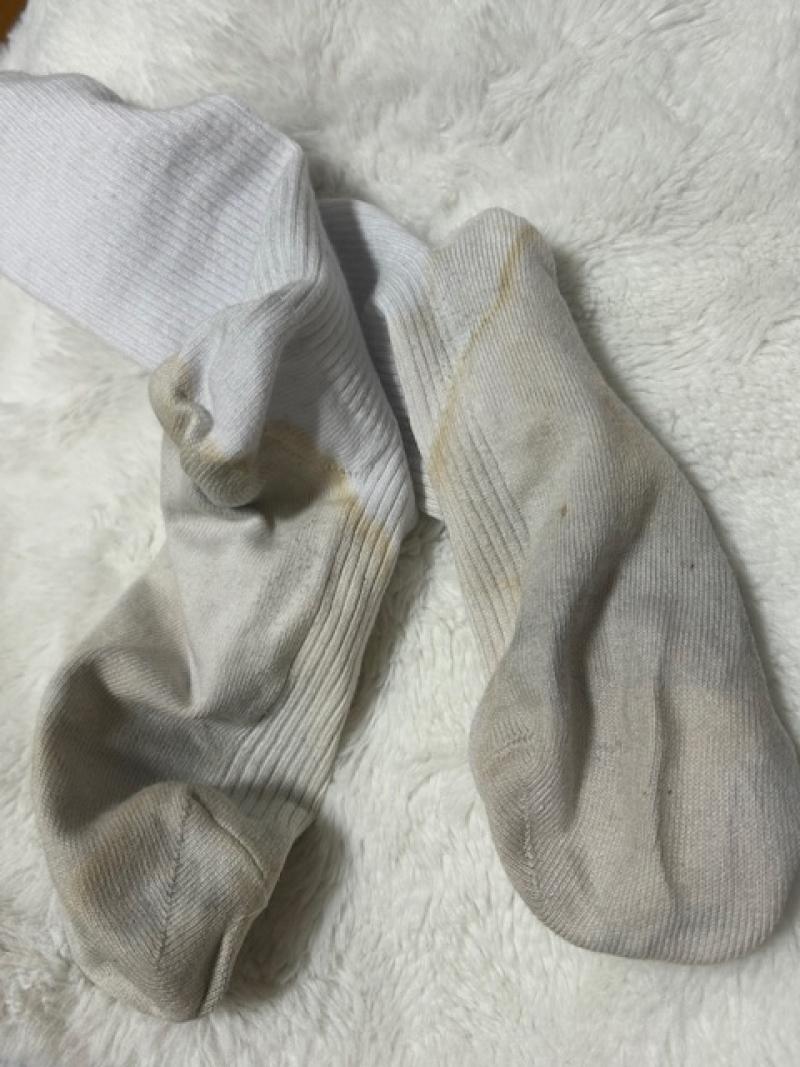 出品者名-写真