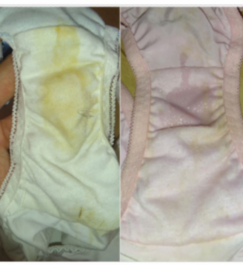 出品者名-写真-1