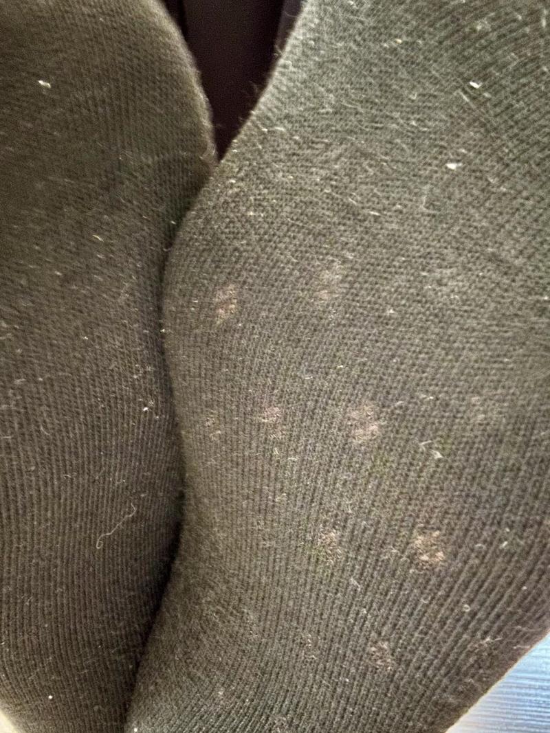 出品者名-写真-1