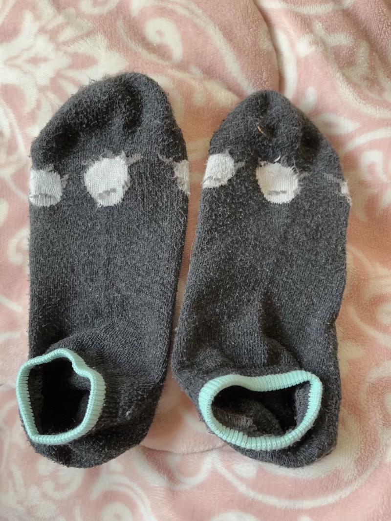 出品者名-写真-1