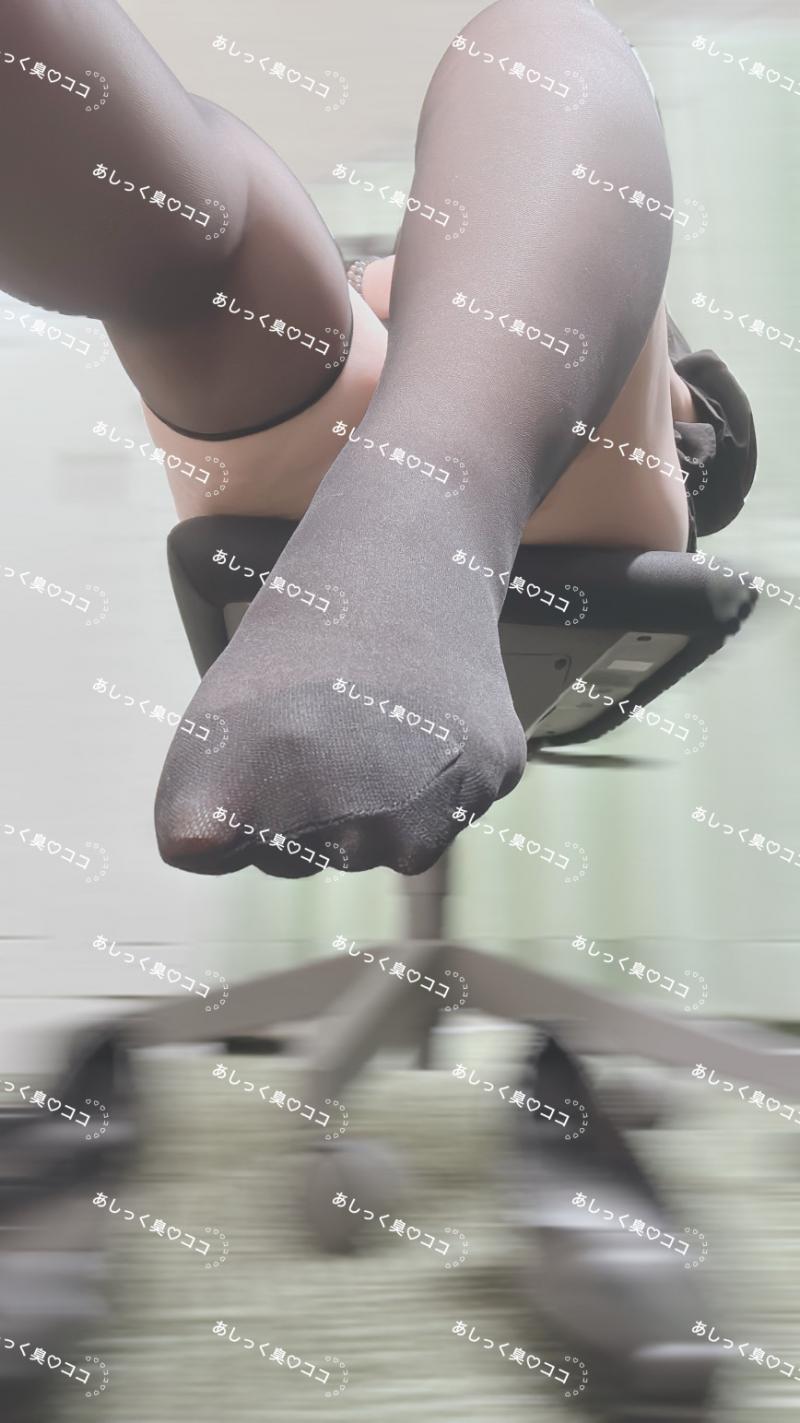 出品者名-写真